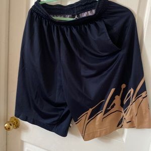 Air Jordan flight shorts